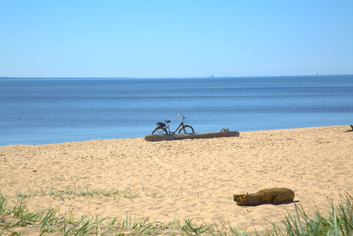 Солнечный день на Финском заливе - Танзиля Завьялова