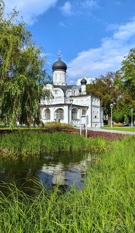 В зелени весь. - Александр Кондаков