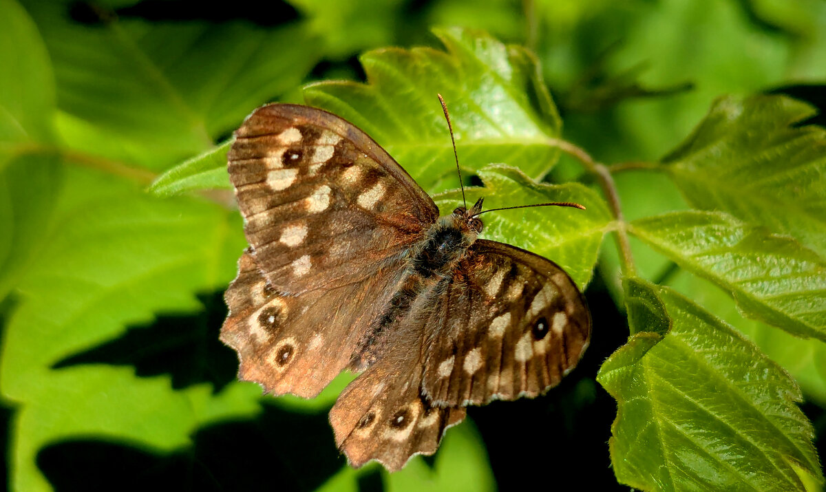 из сегодняшней съемки 1 - Александр Прокудин из сегодняшней съемки 1 - Александр Прокудин