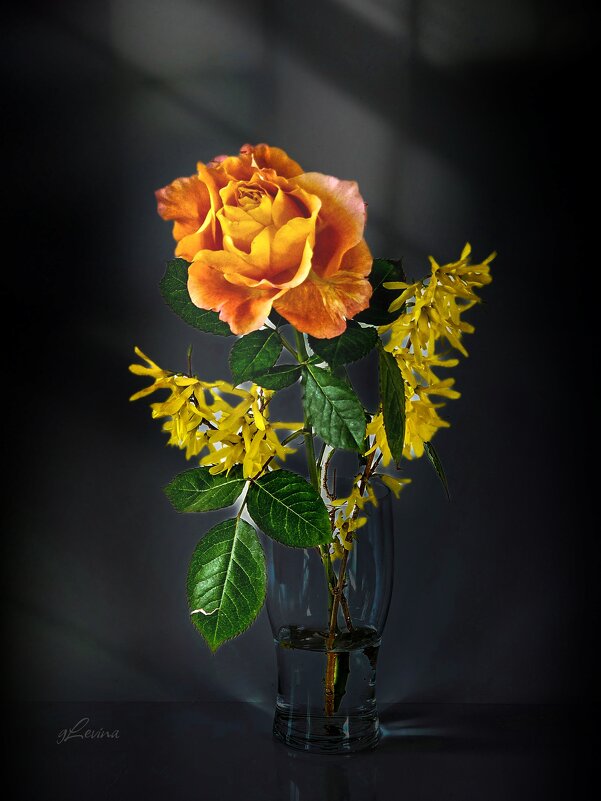 Эфемерная - Галина Левина Эфемерная - Галина Левина