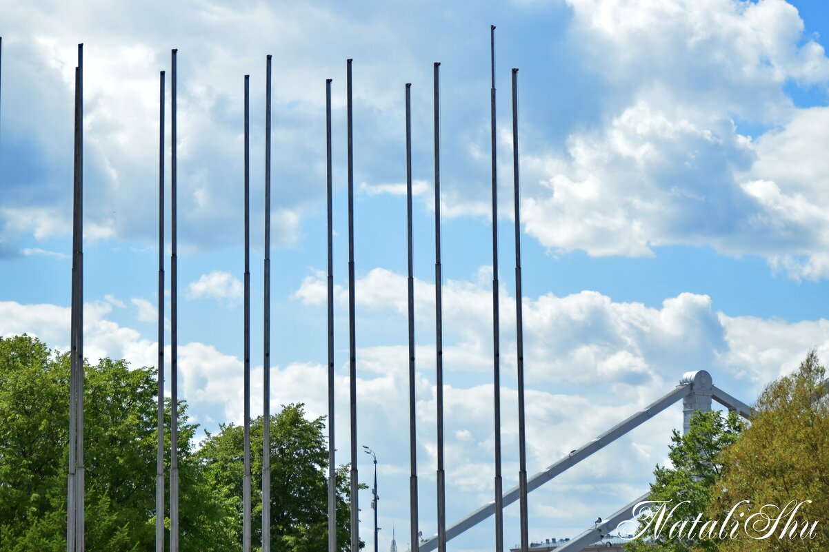 *** - Наталья Вязигина