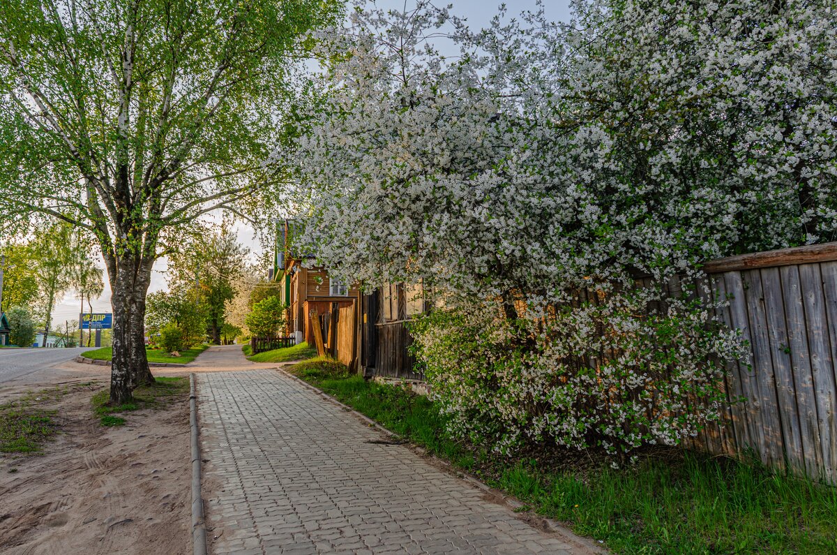 Город - цветущий сад - Александр Филатов Город - цветущий сад - Александр Филатов