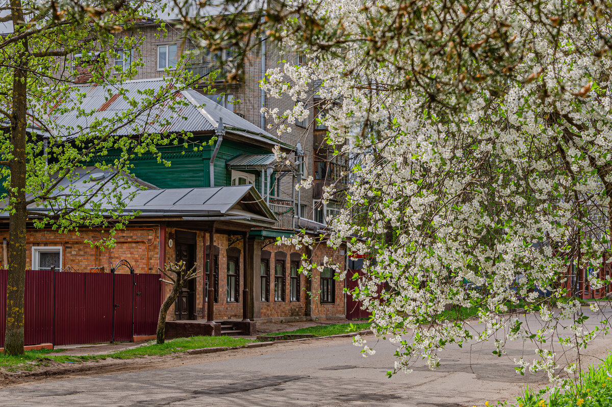 Город - цветущий сад - Александр Филатов