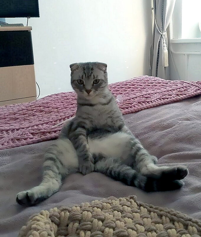 Хозяин - Ольга Довженко