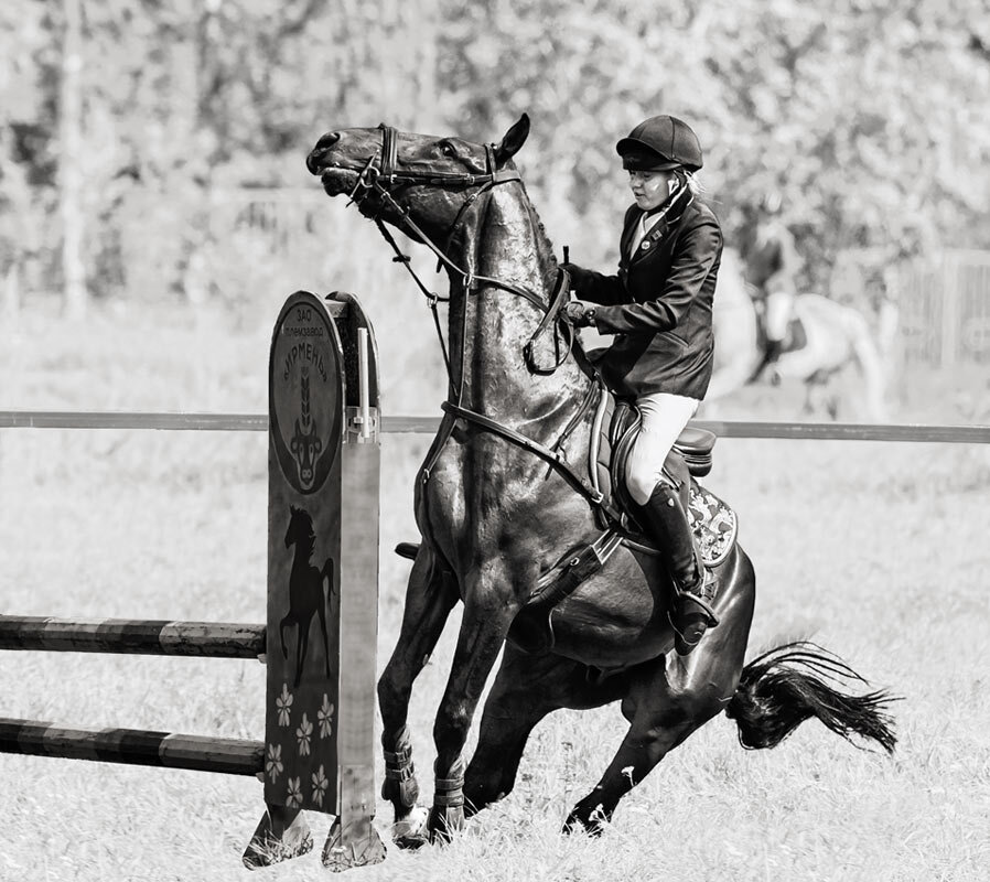 Конкур закидка - SanSan 