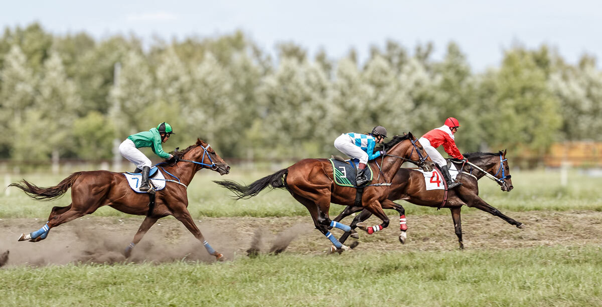 Скачки - SanSan 