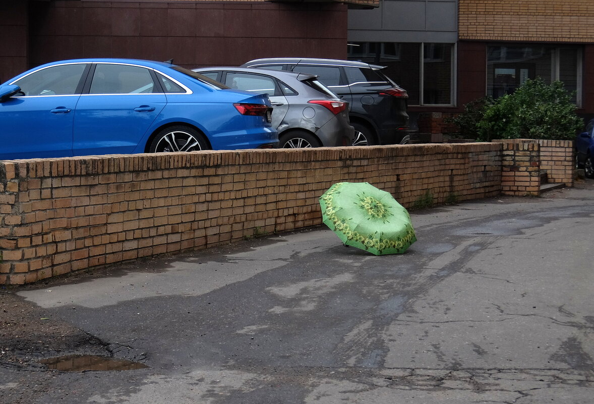 Потеряшка. - Люба 