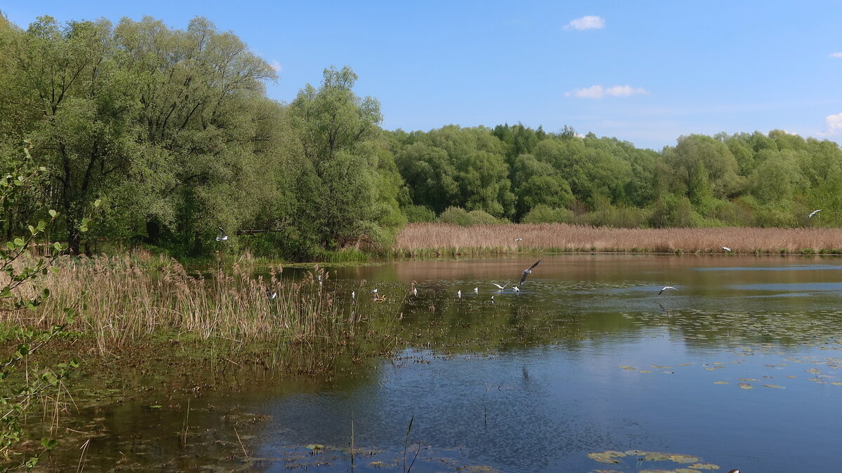 Заповедный угол - Дмитрий И_ Заповедный угол - Дмитрий И_