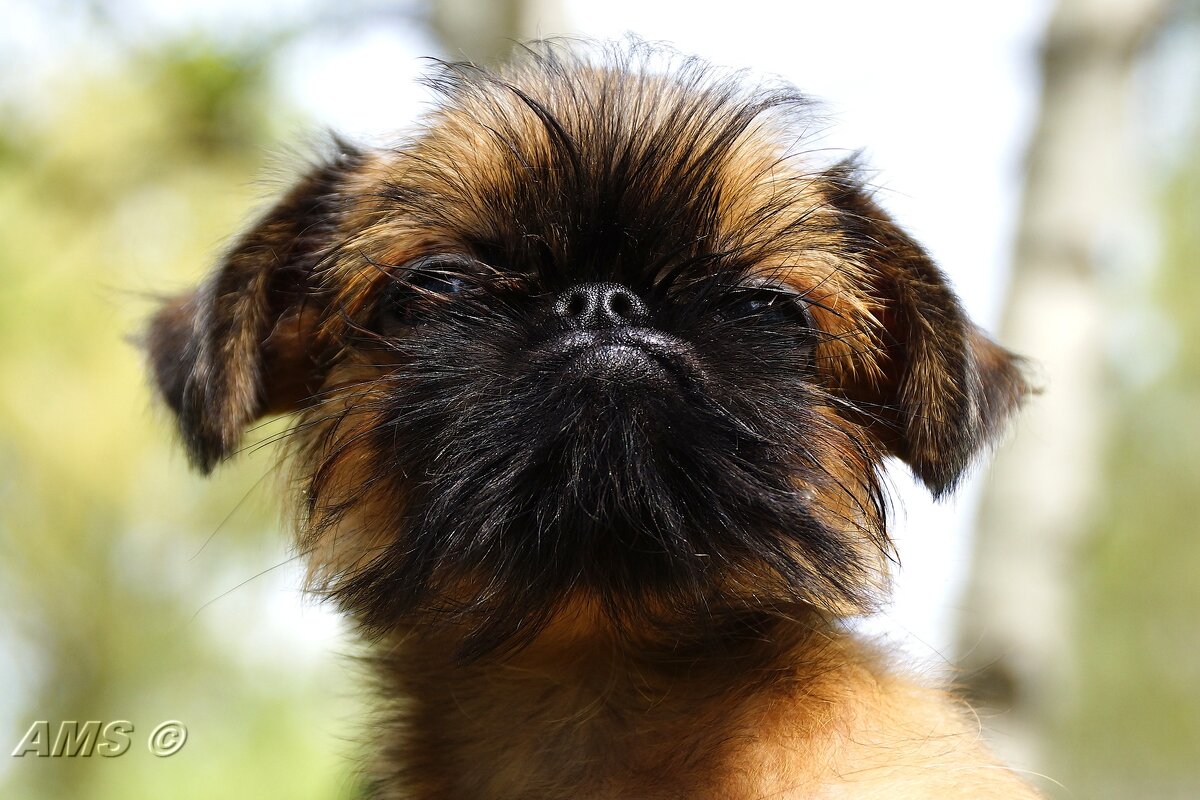 Малышик - kolyeretka Малышик - kolyeretka