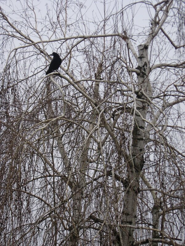 . - Александр Хоменко