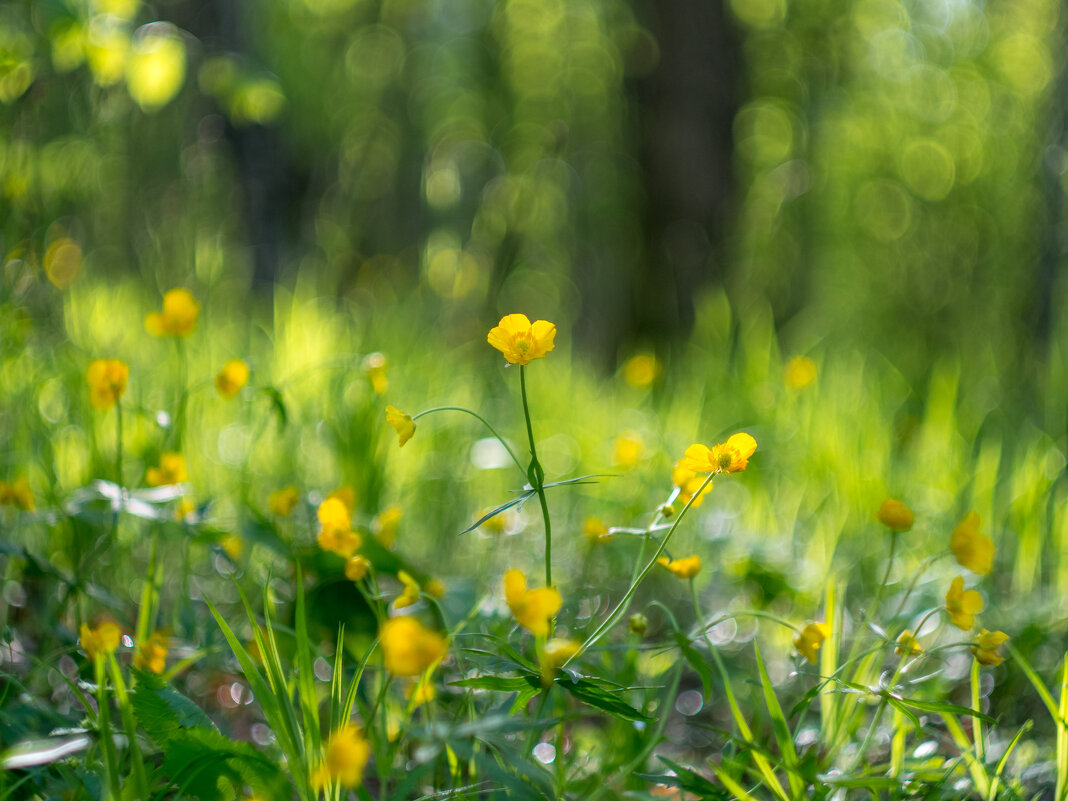 ___ - Yuriy V ___ - Yuriy V