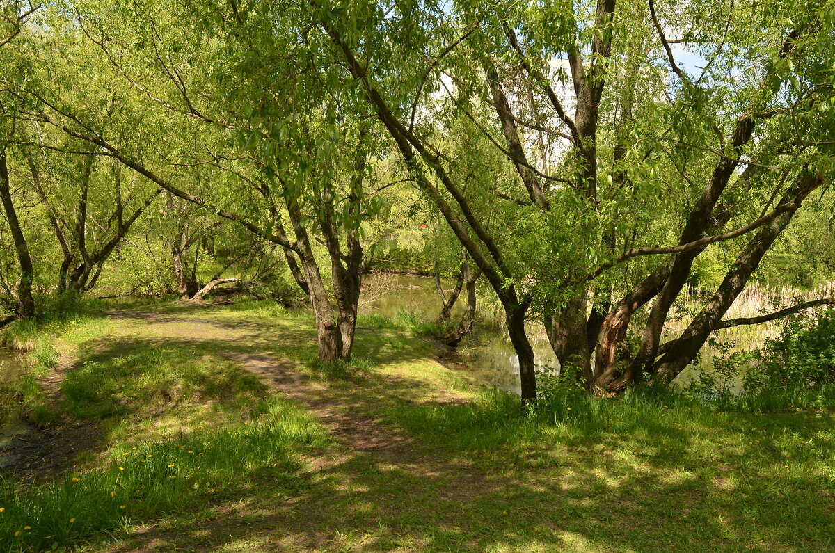 Природа - Oleg4618 Шутченко Природа - Oleg4618 Шутченко