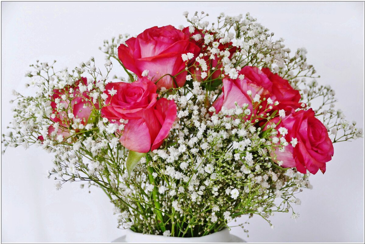 РОЗЫ... - Elvira E. 