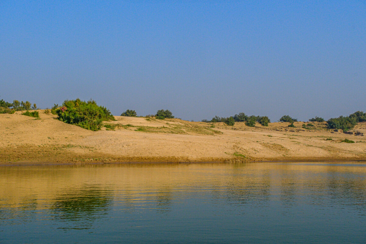 Песчаный берег реки Чамбал - Георгий А Песчаный берег реки Чамбал - Георгий А
