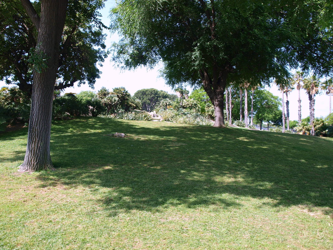 Испания. Каталония. - Владимир Драгунский