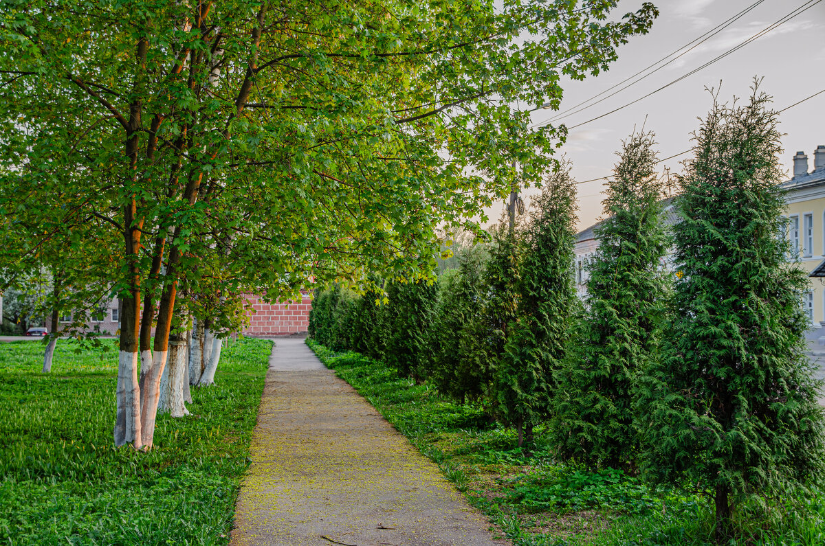 Город - цветущий сад - Александр Филатов Город - цветущий сад - Александр Филатов
