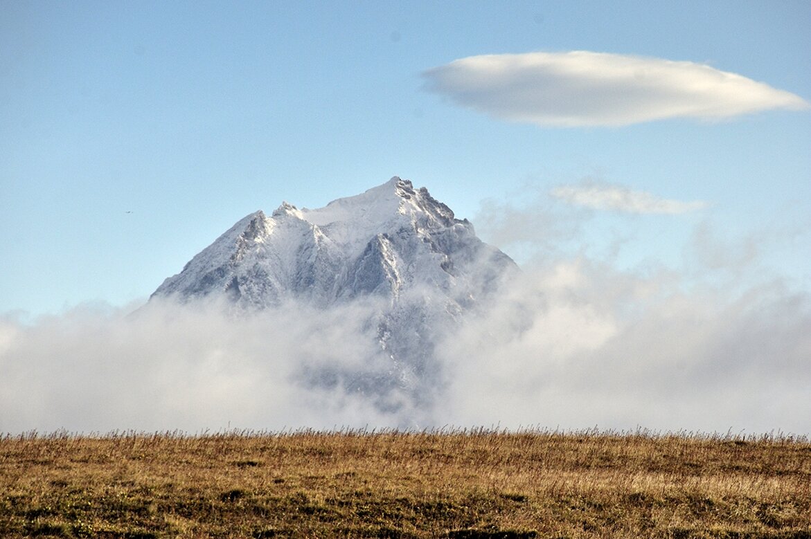 *** - Марина Виноградова *** - Марина Виноградова