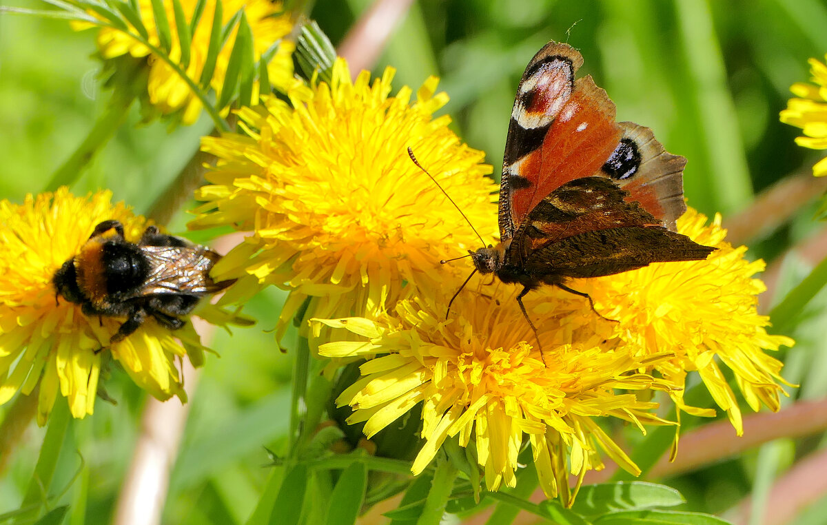 из вчерашней съемки 4 - Александр Прокудин из вчерашней съемки 4 - Александр Прокудин