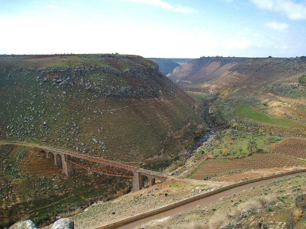 Кусочек Сирии. - unix (Илья Утропов) Кусочек Сирии. - unix (Илья Утропов)