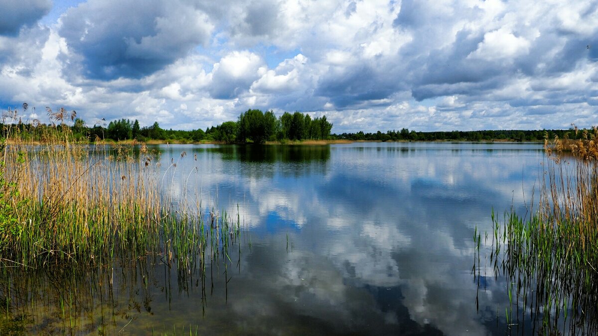 Природа Смоленщины - Милешкин Владимир Алексеевич 