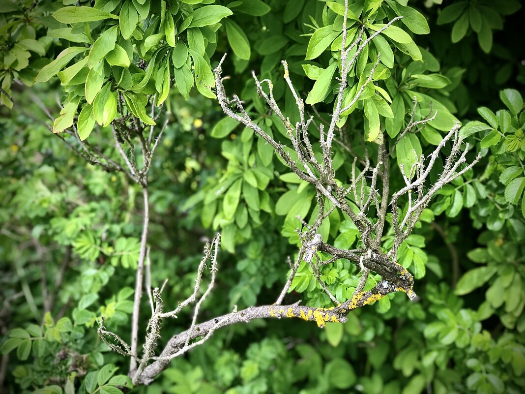 Молодость и старость… - Любовь Молодость и старость… - Любовь