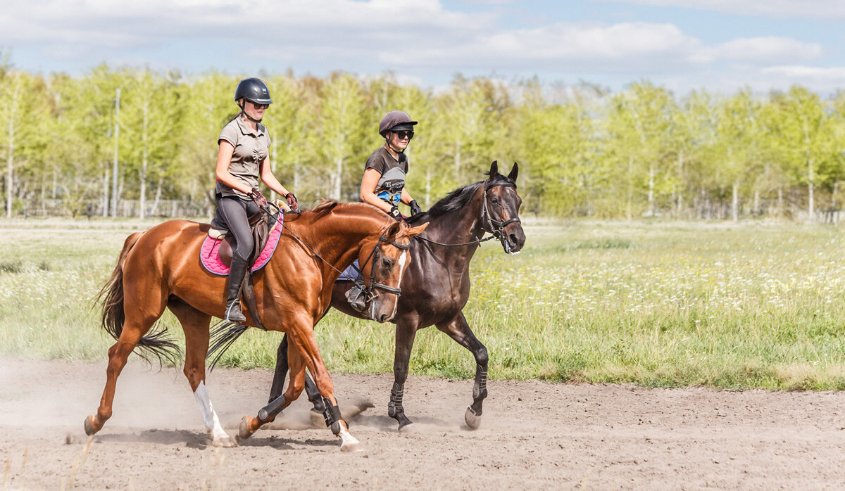 Всадницы - SanSan 