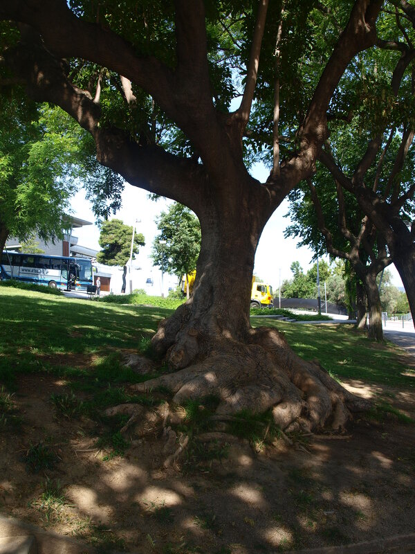 Испания. Каталония. - Владимир Драгунский