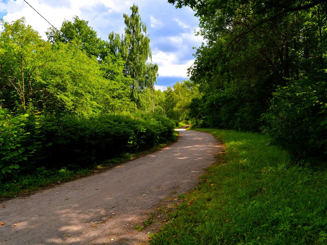 Чебоксары. Дорожка Ботанического сада. - Пётр Чернега Чебоксары. Дорожка Ботанического сада. - Пётр Чернега