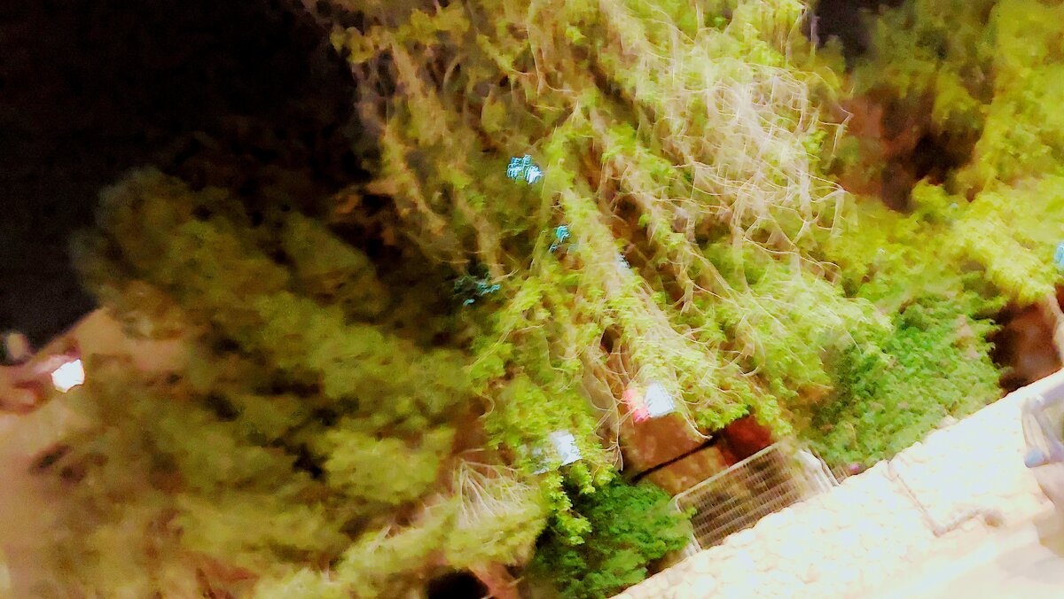 13  ОПЕН (38) - OPEN WAYS ALL