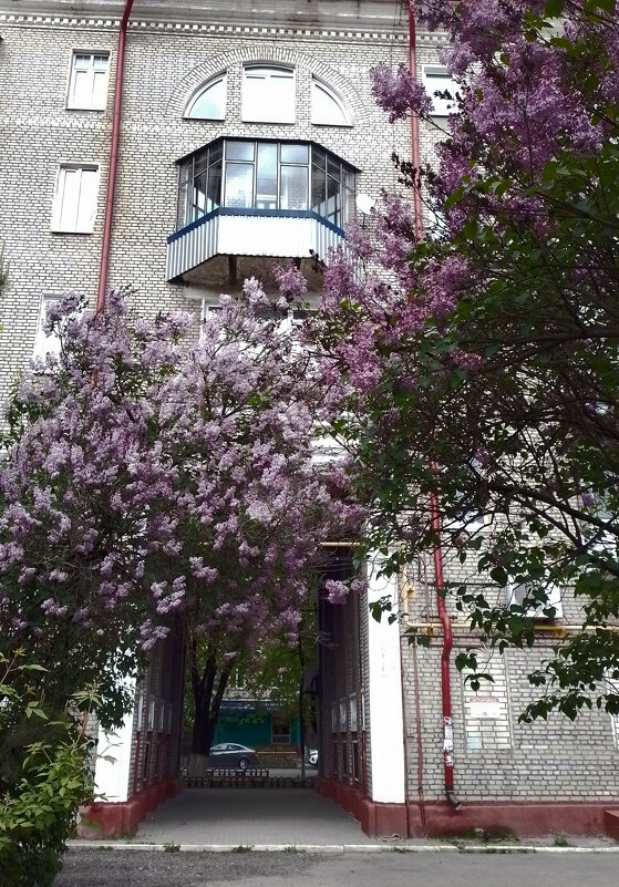 *** - Валентина Береснева