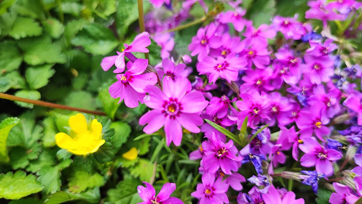 ,,, - Сергей Тимоновский