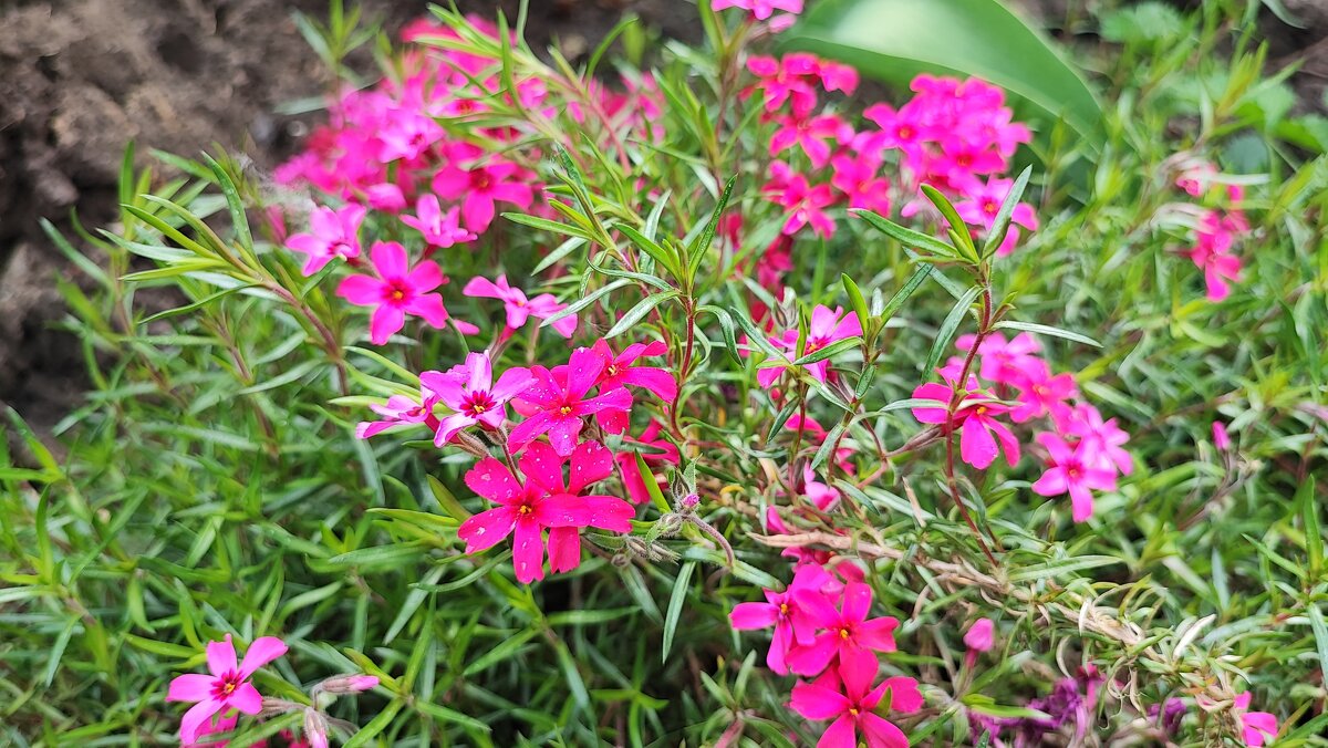 ,,, - Сергей Тимоновский