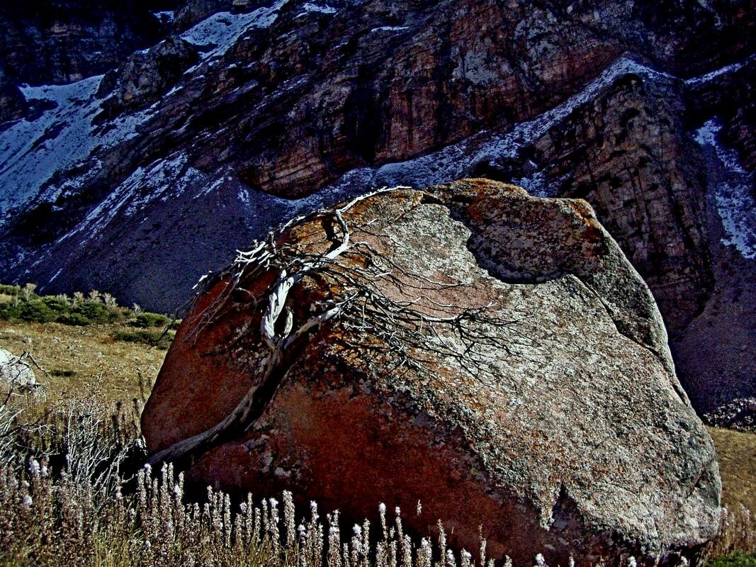 ПО ВЕРХАМ. - Виктор Осипчук