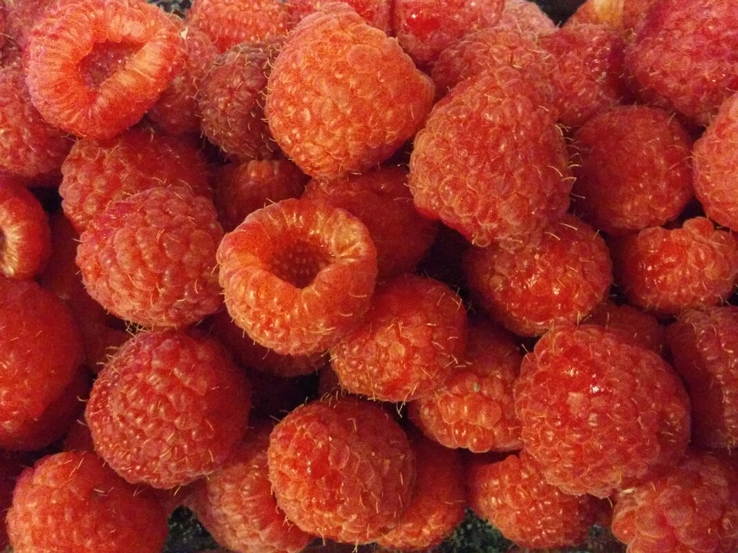 Малинка ягодка малинка.... - Светлана Хращевская Малинка ягодка малинка.... - Светлана Хращевская