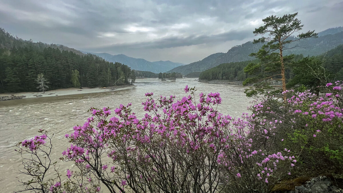 На Катуни...Весна - владимир На Катуни...Весна - владимир