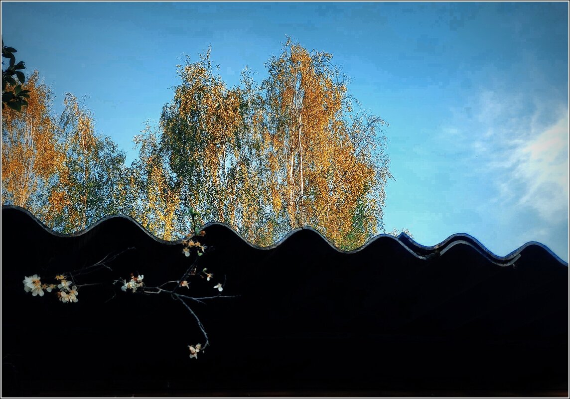 веточка сливы - Любовь веточка сливы - Любовь