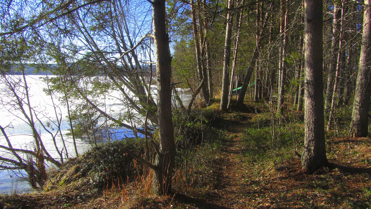 *** - Галина Полина