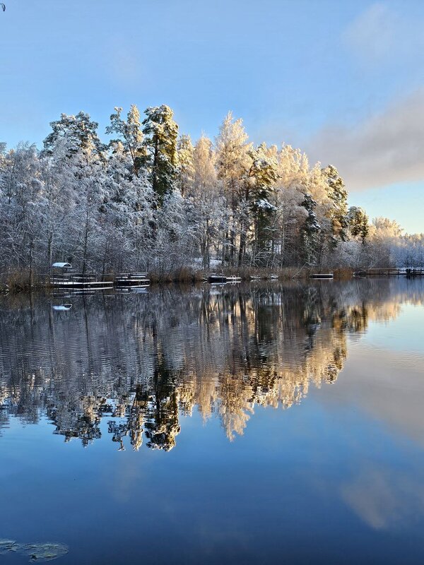 Зимнее утро. - Галина Левина