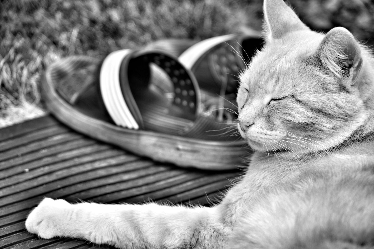 ..... - Руслан ..... - Руслан