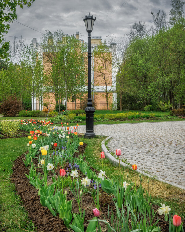 Про Питер - Владимир Колесников