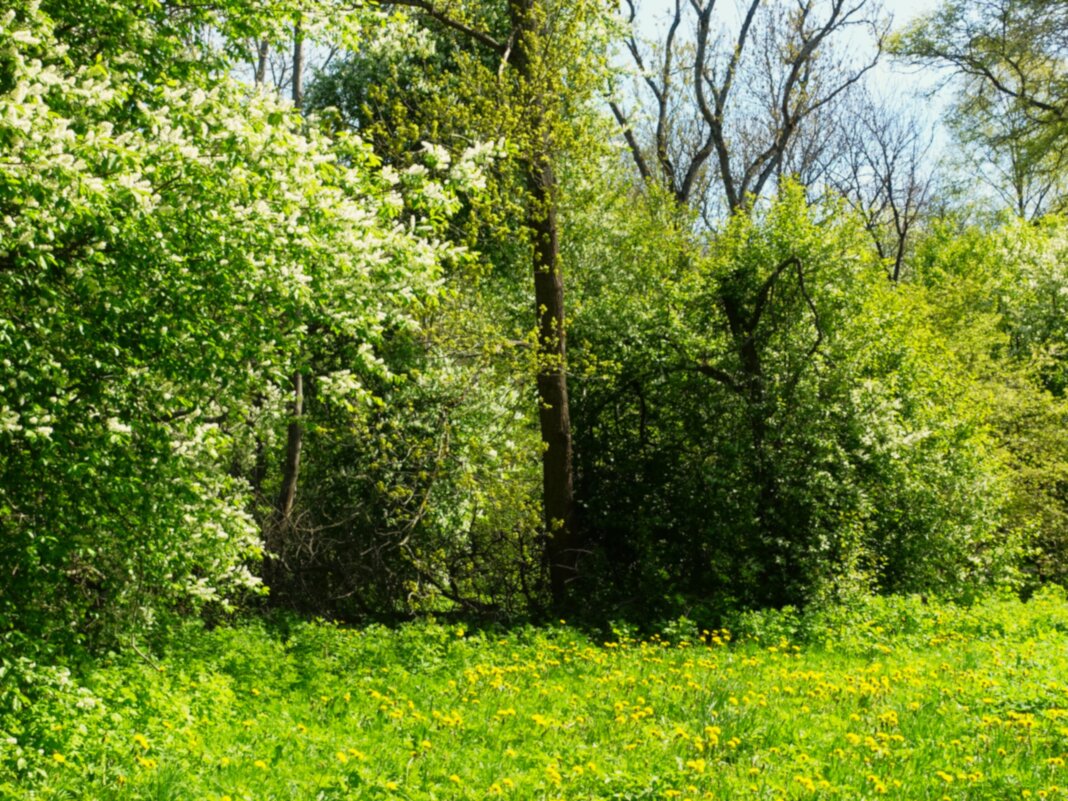 Есть улицы центральные.. - Aida10 Есть улицы центральные.. - Aida10