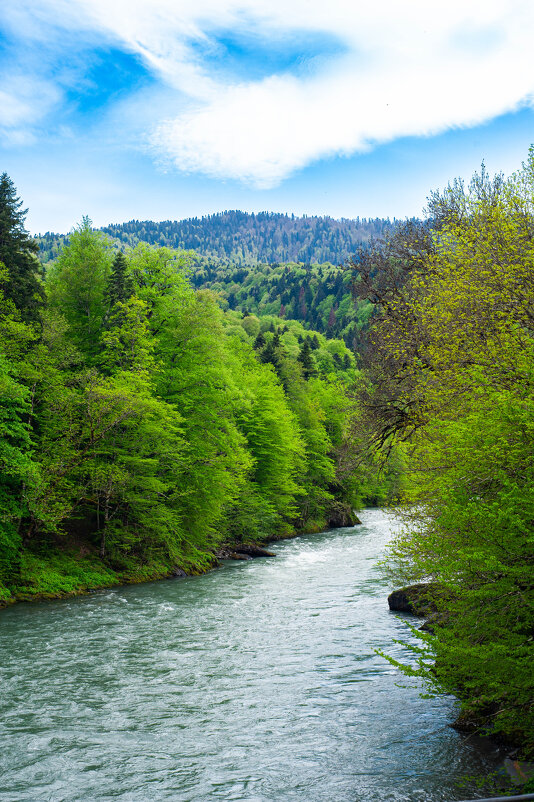 Река белая горы Адыгеи - Виктор Скаков