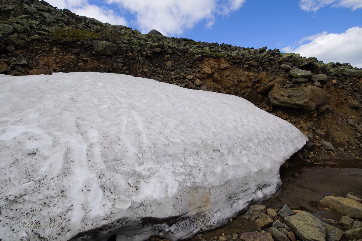 Июньский снег... - Николай Гирш Июньский снег... - Николай Гирш