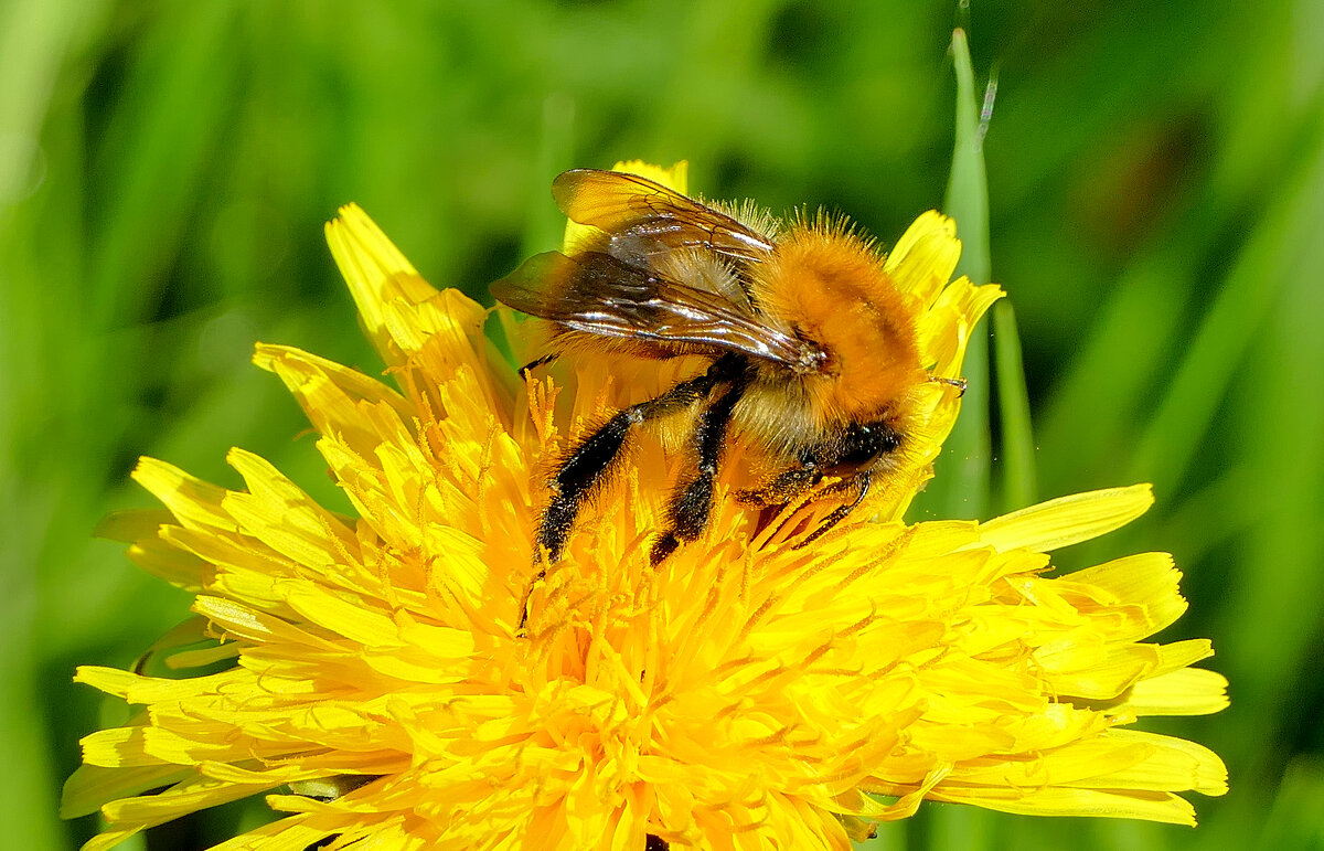 из сегодняшней съемки 2 - Александр Прокудин из сегодняшней съемки 2 - Александр Прокудин