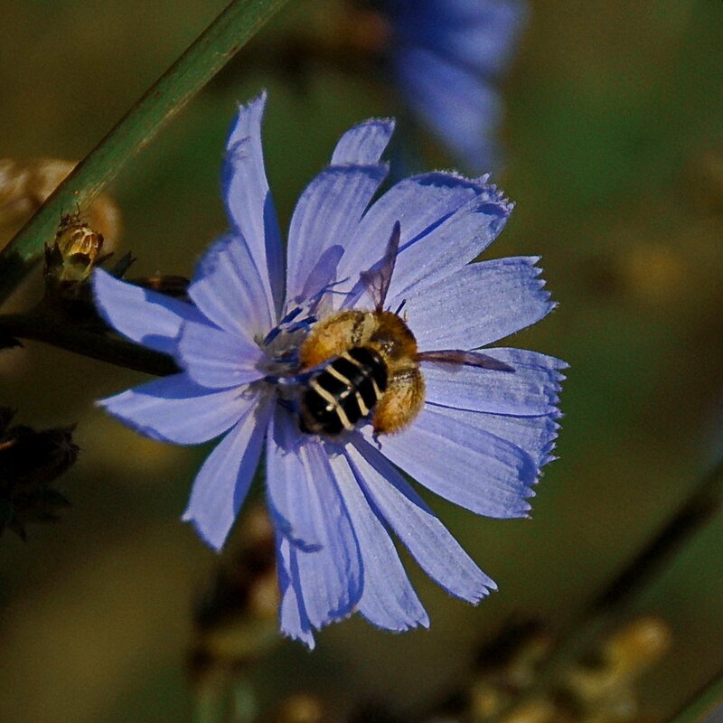 Диагональная симметрия - Елена Пономарева Диагональная симметрия - Елена Пономарева