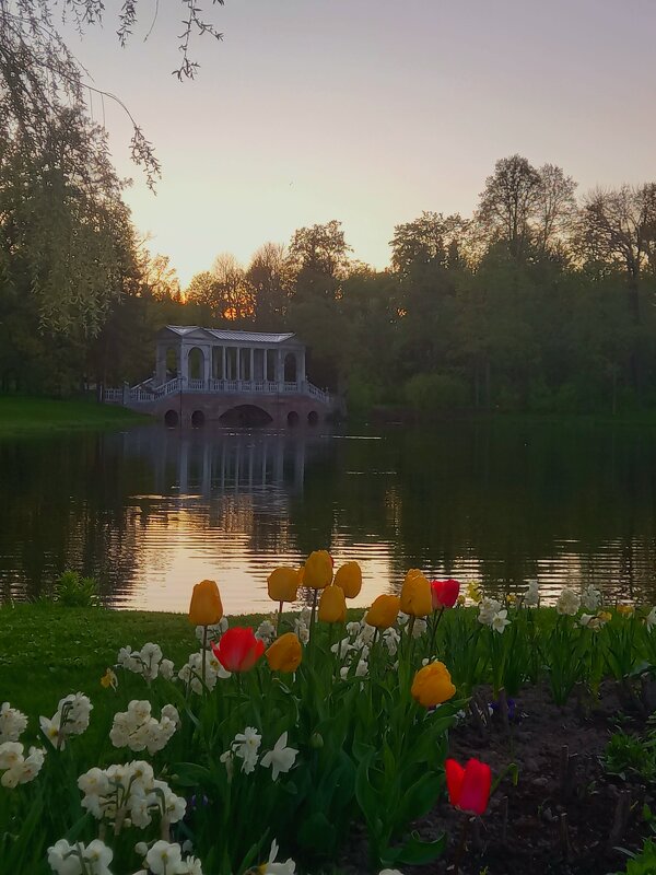 Весна - Сапсан 