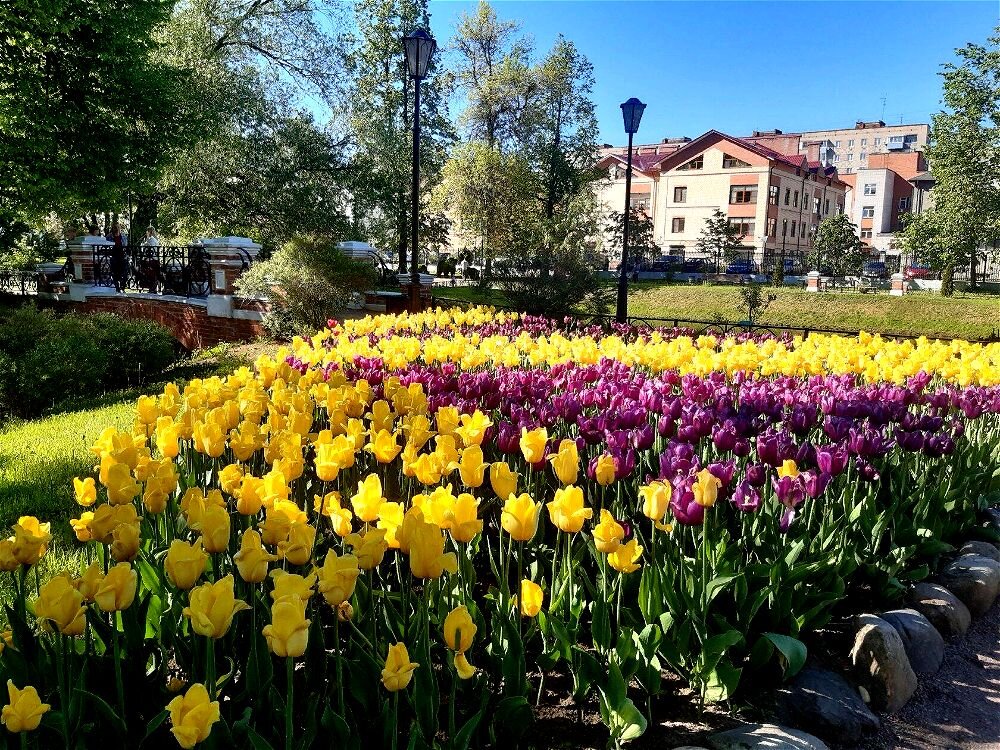 Ковёр цветов нам дарит вновь волшебница Весна! - Нина Андронова Ковёр цветов нам дарит вновь волшебница Весна! - Нина Андронова