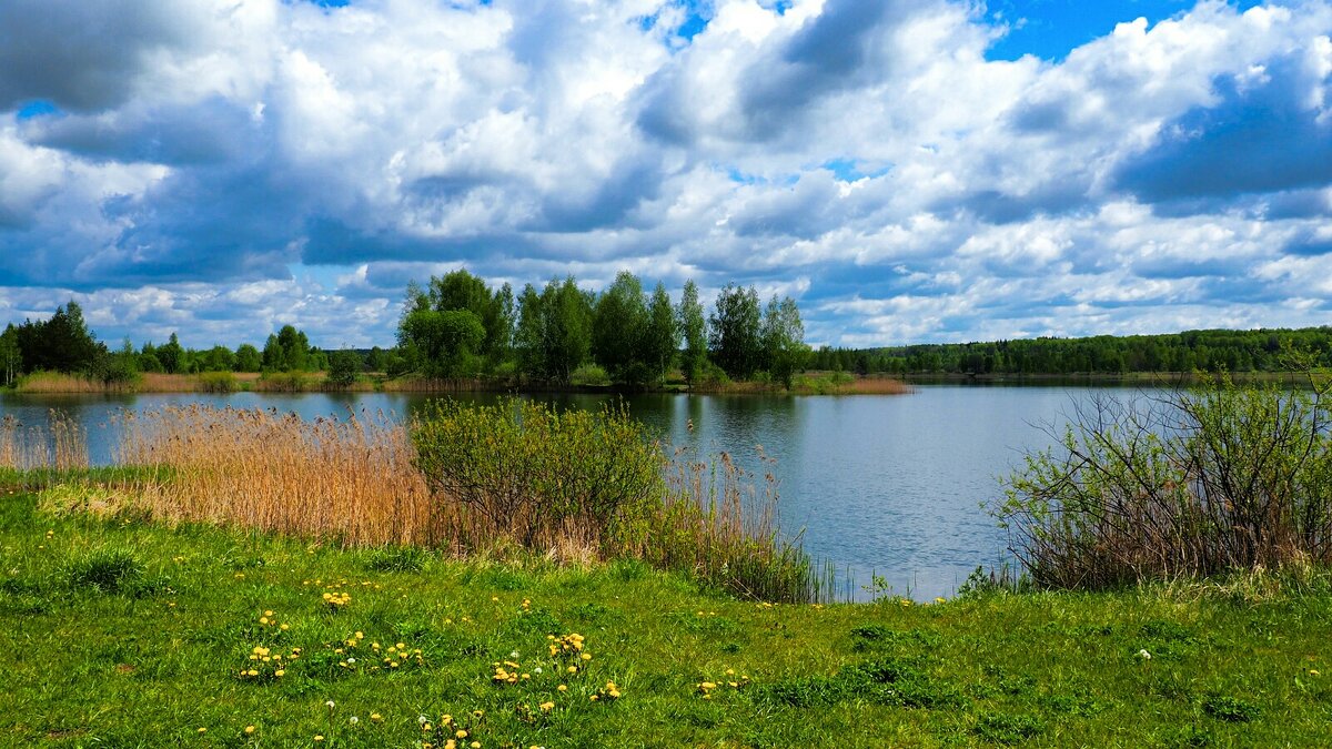 Про смоленскую весну. - Милешкин Владимир Алексеевич 