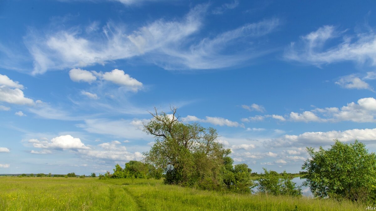 3823 - Alex . 3823 - Alex .