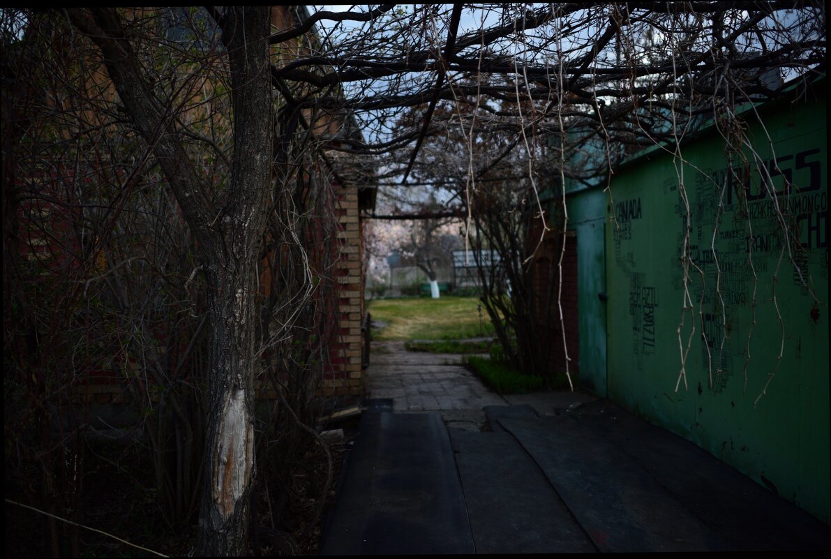 Вечер - Петр 